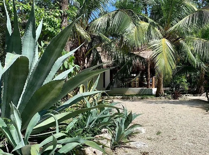 Morena Boutique Ecoliving Hotel