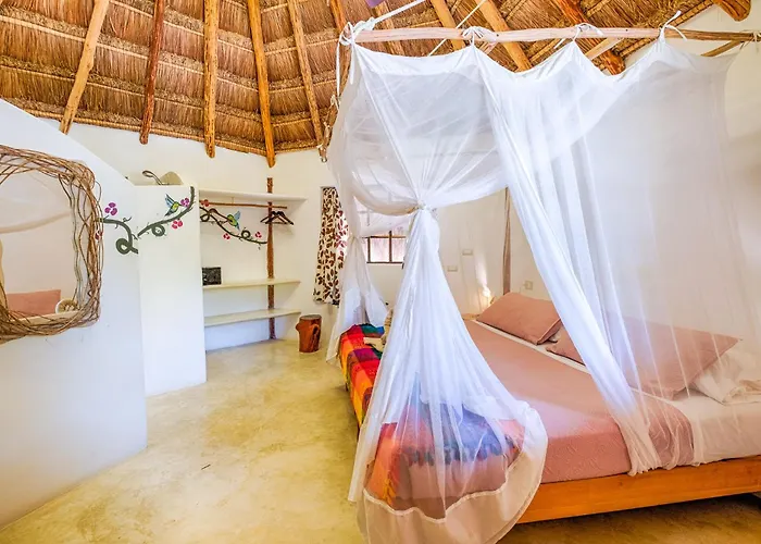 Hotel Morena Boutique Ecoliving 4*