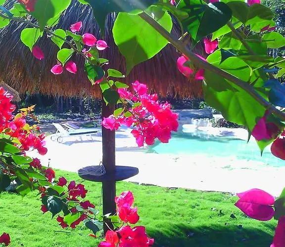 Hotel Morena Boutique Ecoliving 4*