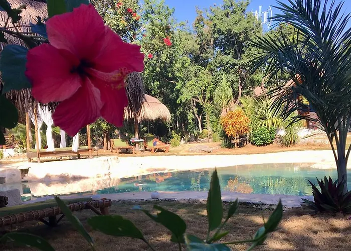 Hotel Morena Boutique Ecoliving 4*